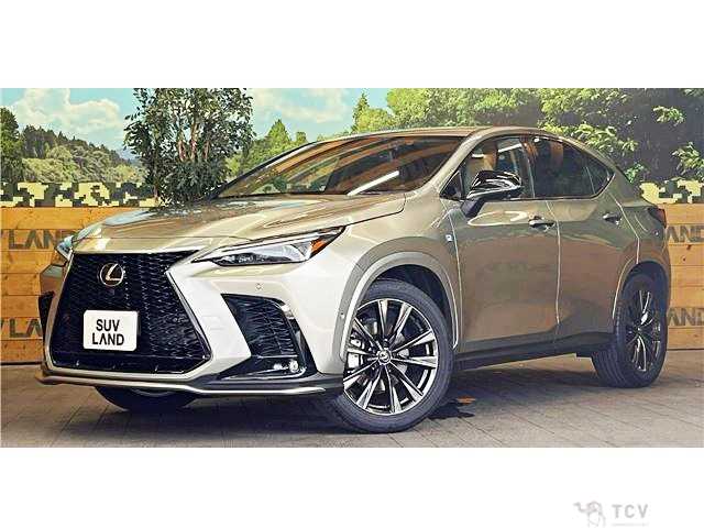 2024 Lexus NX