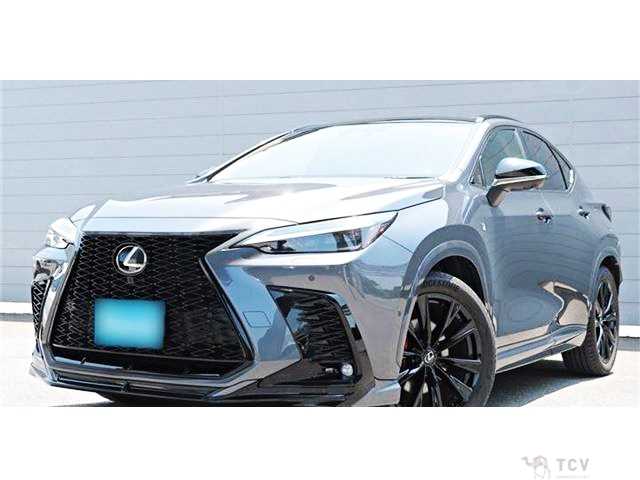 2024 Lexus NX