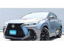2024 Lexus NX