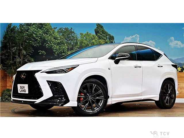 2024 Lexus NX