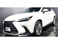 2024 Lexus NX