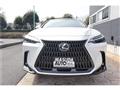 2024 Lexus NX
