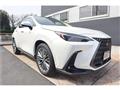 2024 Lexus NX