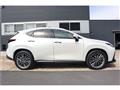 2024 Lexus NX