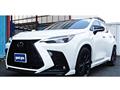2024 Lexus NX