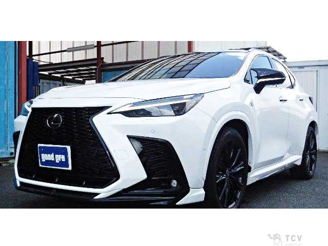 2024 Lexus NX