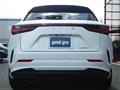 2024 Lexus NX