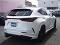 2024 Lexus NX