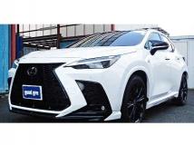 2024 Lexus NX