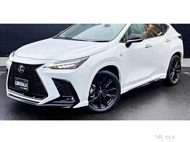 2024 Lexus NX