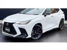 2024 Lexus NX