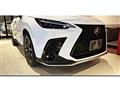 2024 Lexus NX