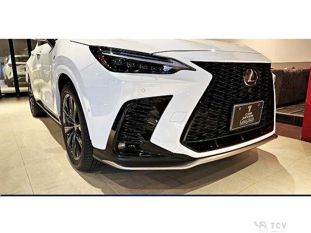 2024 Lexus NX