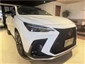 2024 Lexus NX