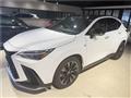 2024 Lexus NX