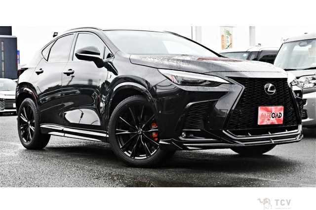 2024 Lexus NX