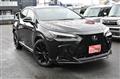 2024 Lexus NX