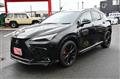 2024 Lexus NX