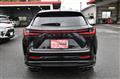 2024 Lexus NX