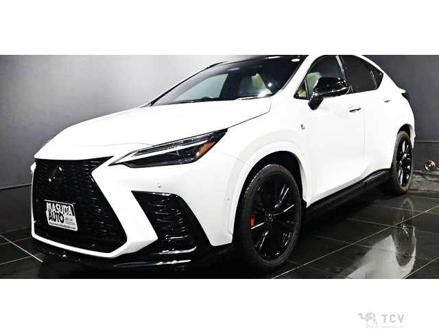 2024 Lexus NX
