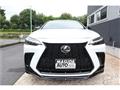 2024 Lexus NX