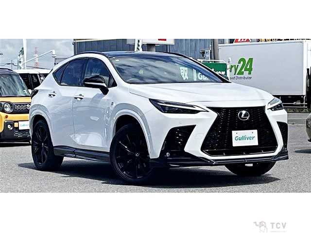 2024 Lexus NX