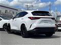 2024 Lexus NX