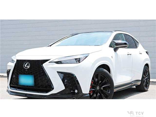 2024 Lexus NX