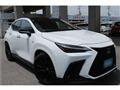 2024 Lexus NX