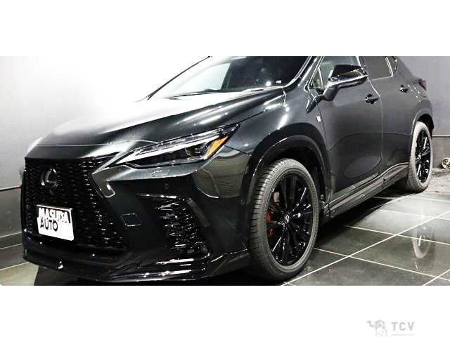2024 Lexus NX