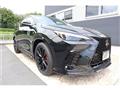 2024 Lexus NX