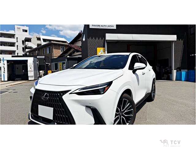 2025 Lexus NX