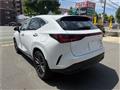 2025 Lexus NX