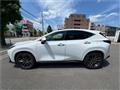 2025 Lexus NX