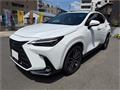2025 Lexus NX