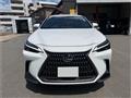 2025 Lexus NX