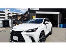 2025 Lexus NX