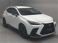 2025 Lexus NX
