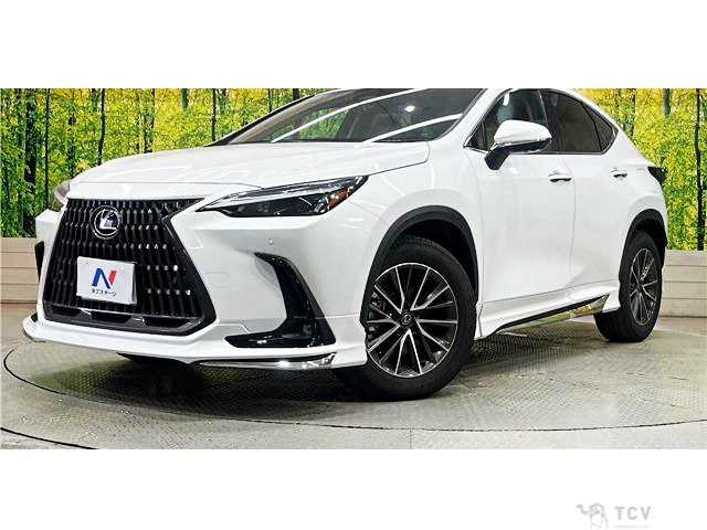 2025 Lexus NX