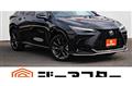 2025 Lexus NX