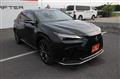2025 Lexus NX