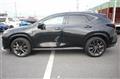 2025 Lexus NX