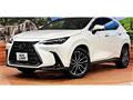 2025 Lexus NX