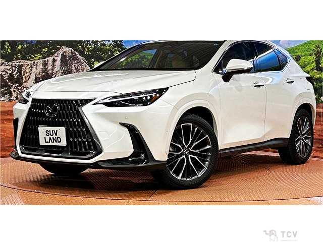 2025 Lexus NX