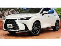 2025 Lexus NX
