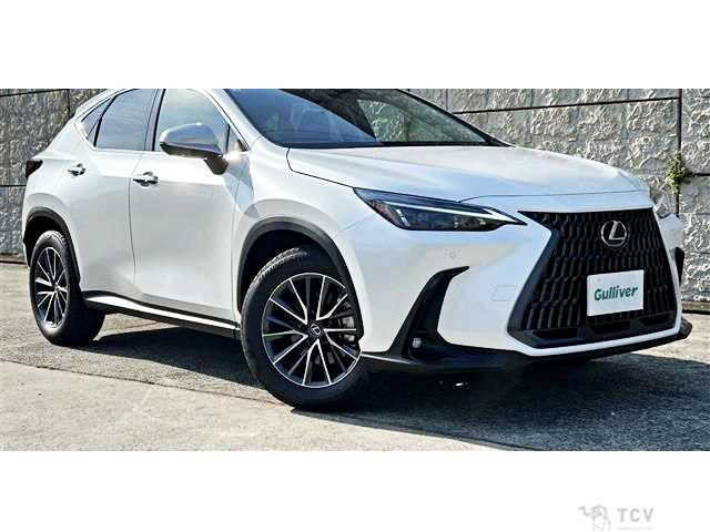2025 Lexus NX