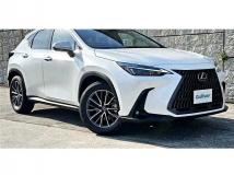 2025 Lexus NX