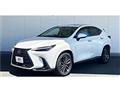 2025 Lexus NX