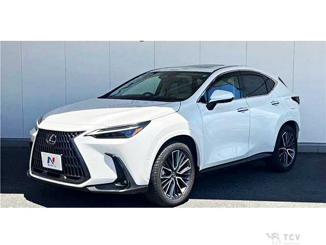 2025 Lexus NX