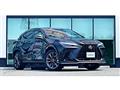 2025 Lexus NX